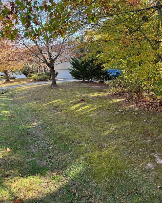 Grounds Maintenance Services