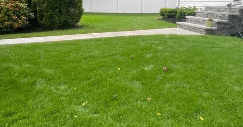 Landscaping