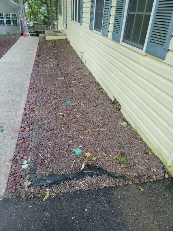 Landscape Design
