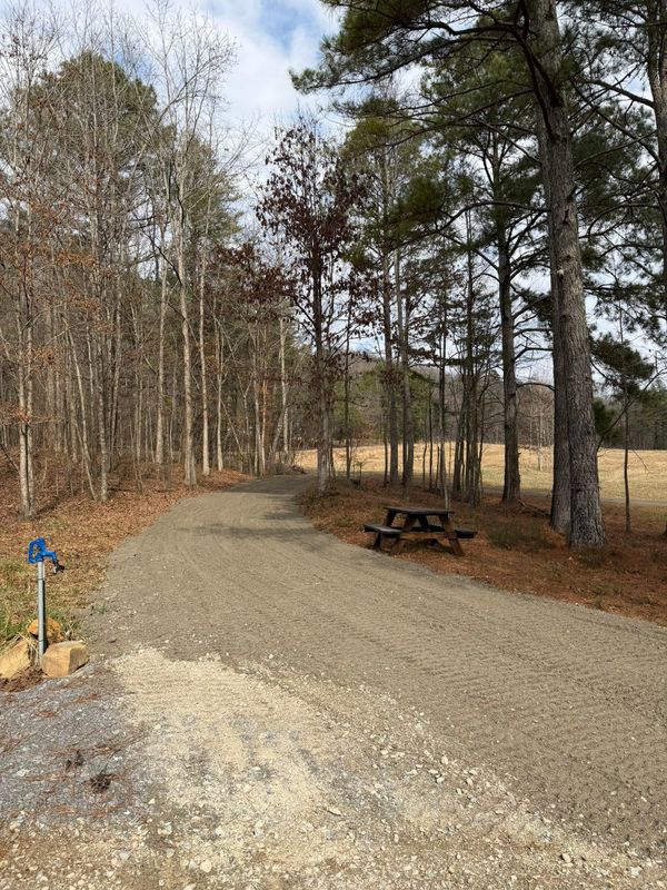 Driveway’s