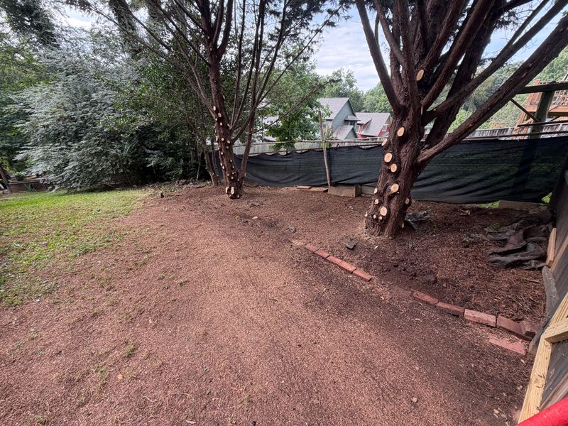 Tree Trimming