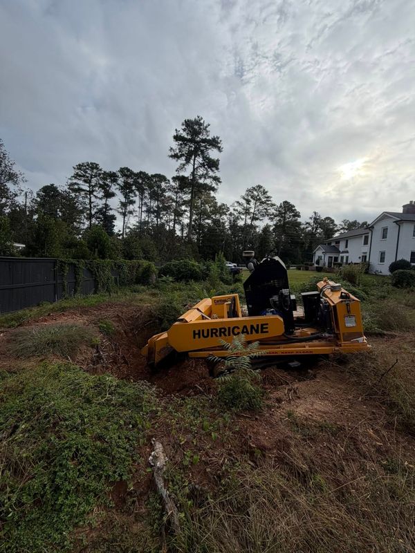 Tree Services
