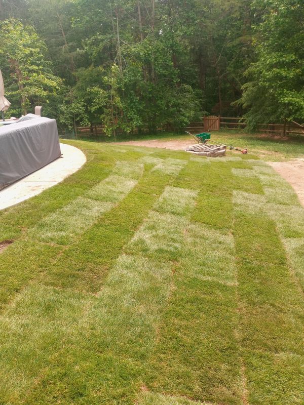 Grass Up
