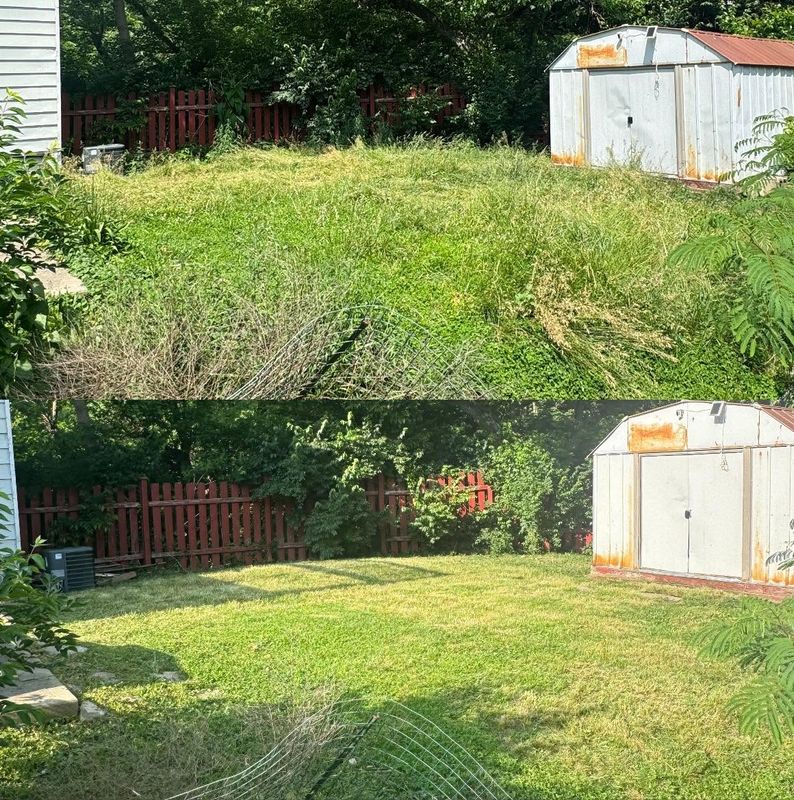 Garden Designs
