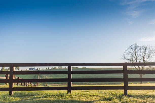 Fence Line Maintenance