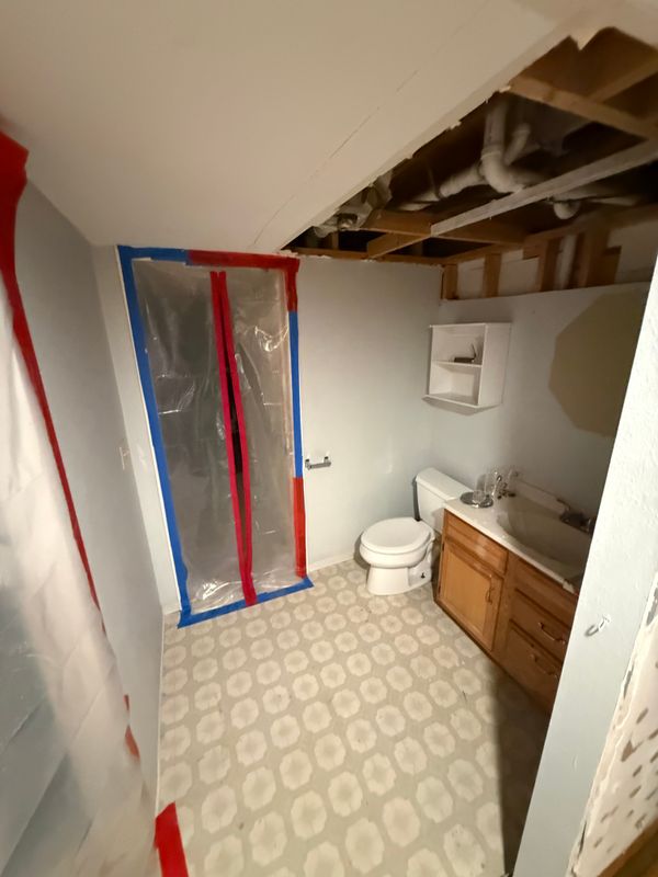 Mold Remediation
