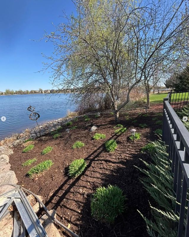Shoreline Restoration