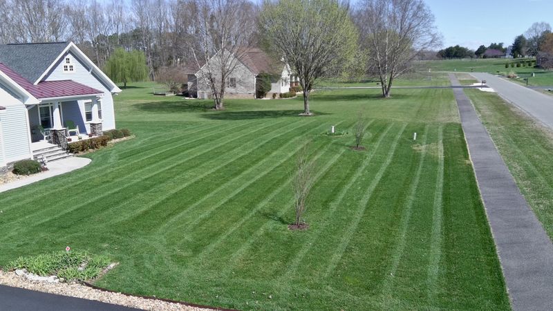 Mowing
