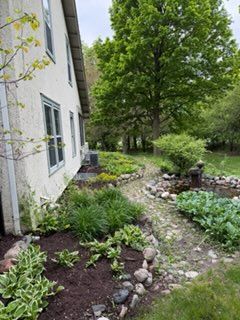Lawn Care & Maintenance