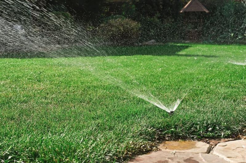 irrigation system