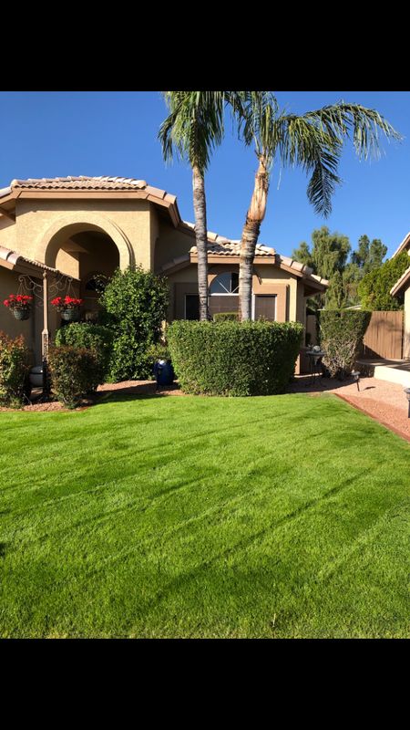 Landscaping