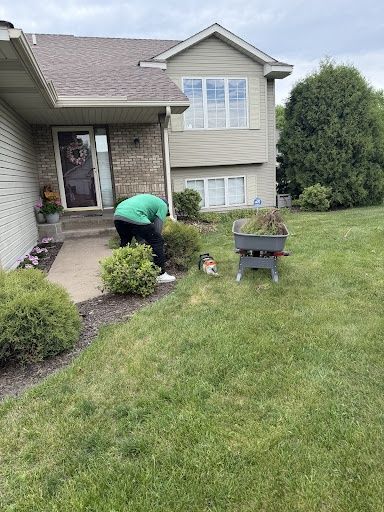 Shrub & Bush Removal