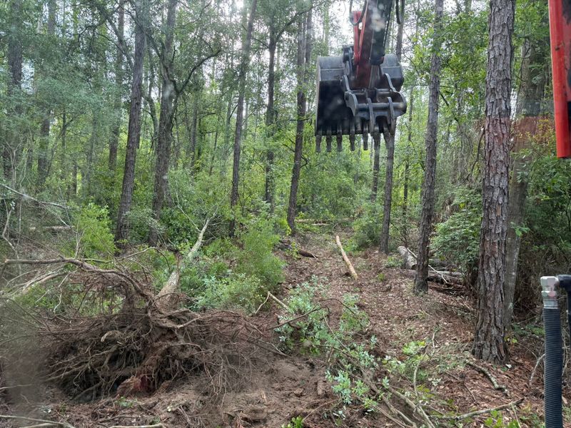 Land Clearing