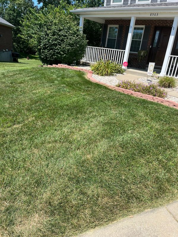 Landscape Design