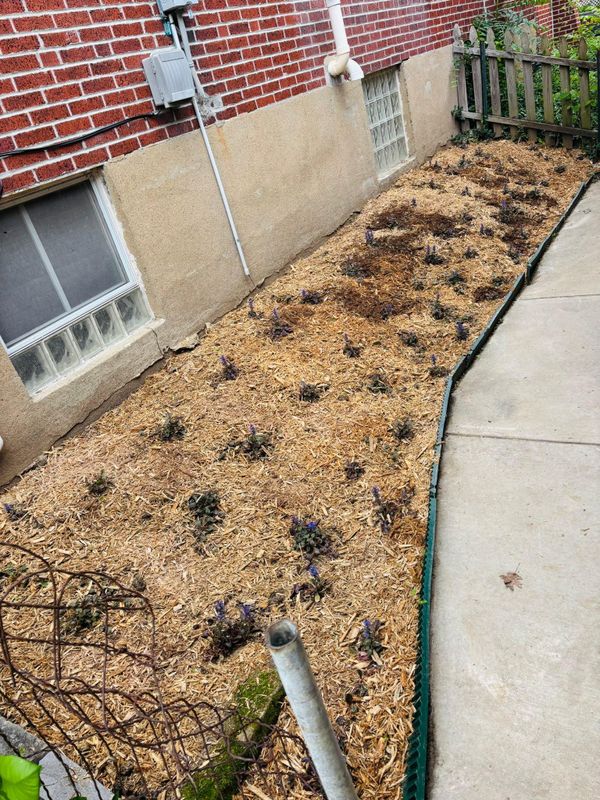 Mulch Installation