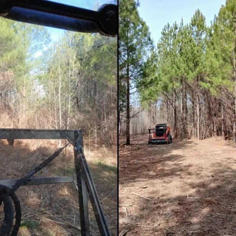 Forestry Mulching