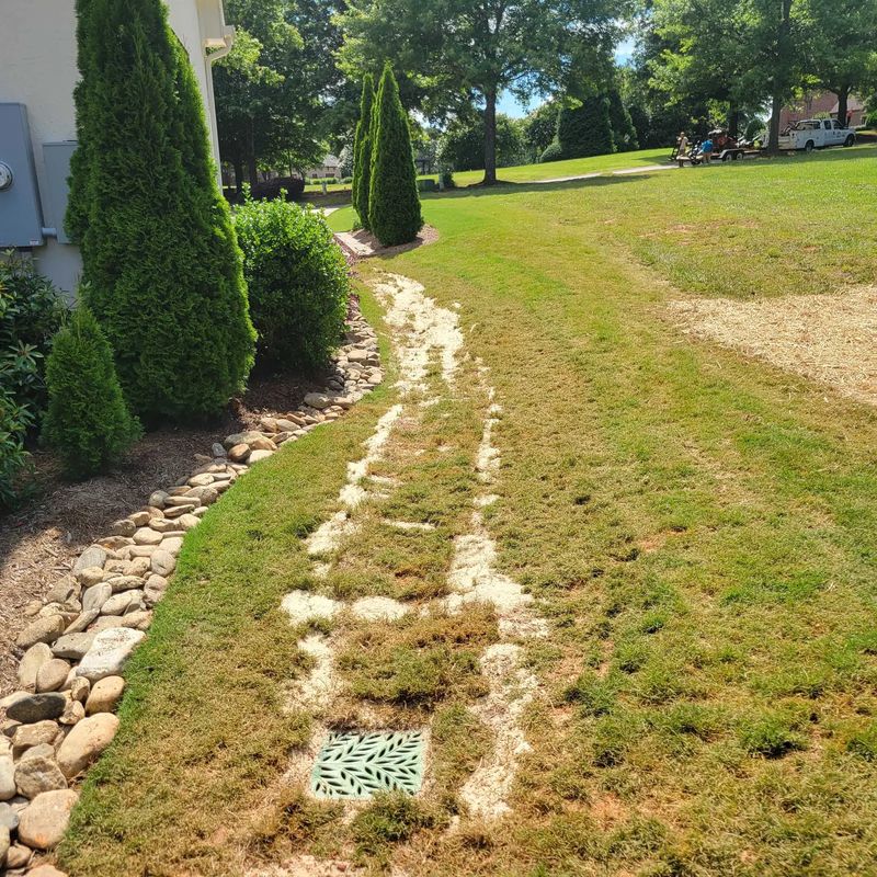 Lawn Drains
