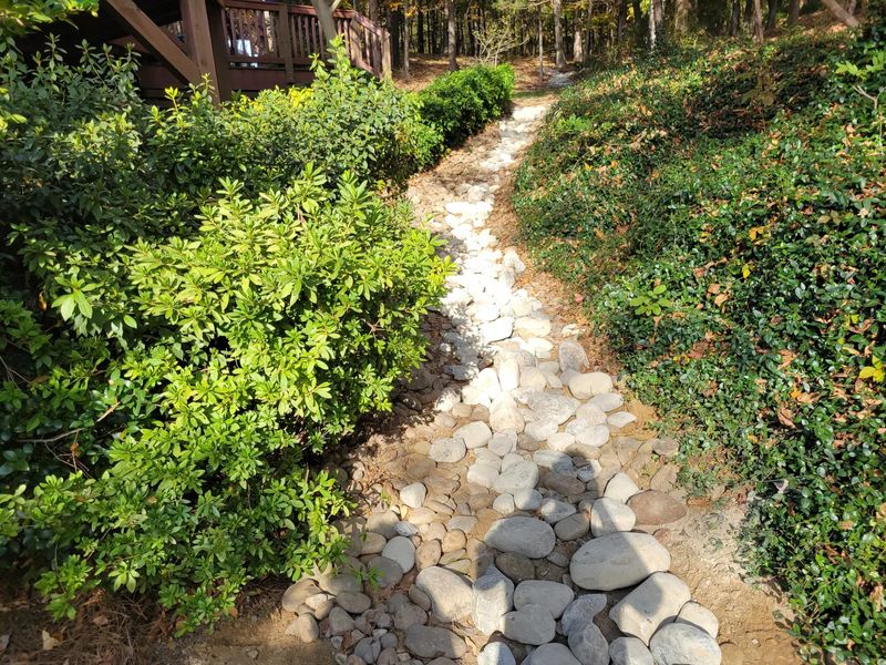 Swale Contruction