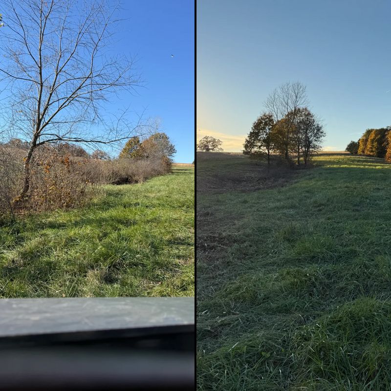Land Improvement