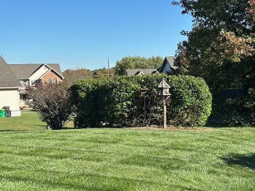 Lawn Mowing