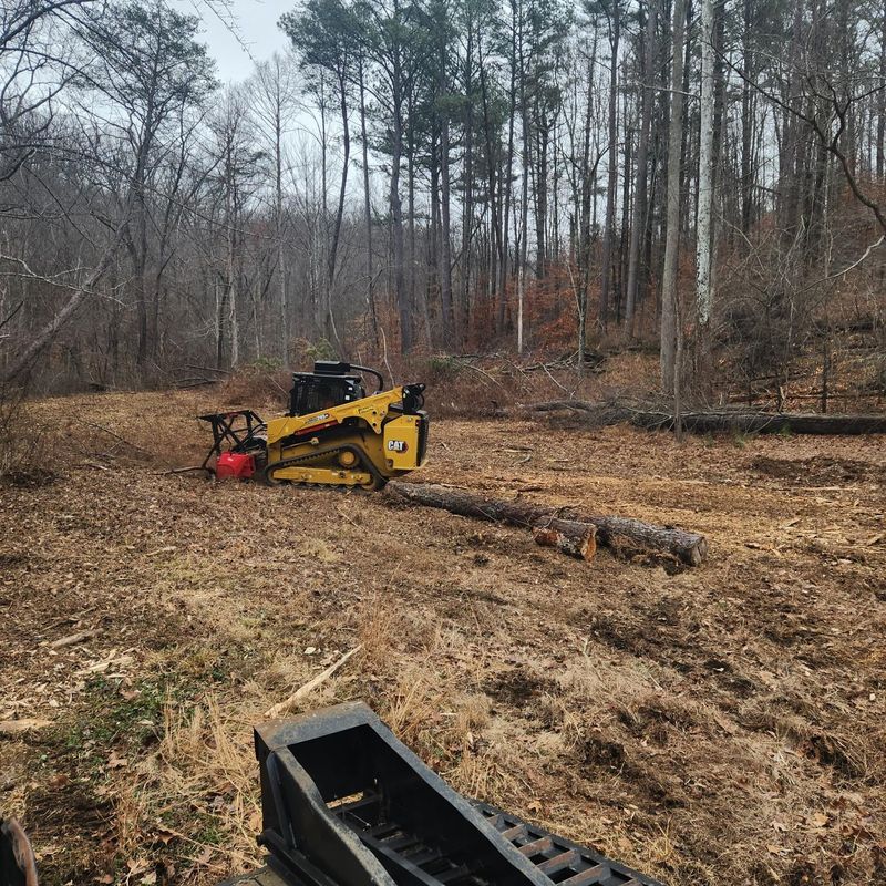 Land Clearing