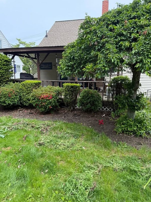 Tree & Shrub Care