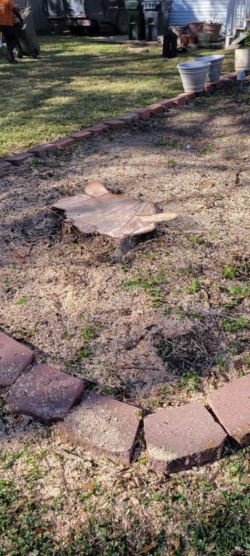 Stump Removal
