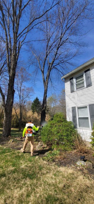 Transform Your Outdoor Space: Expert Mosquito and Tick Control