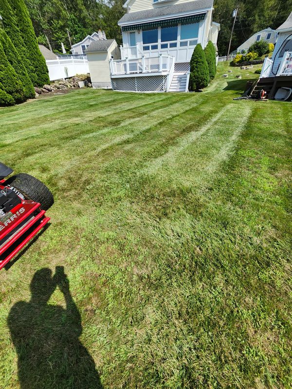 Lawn Mowing