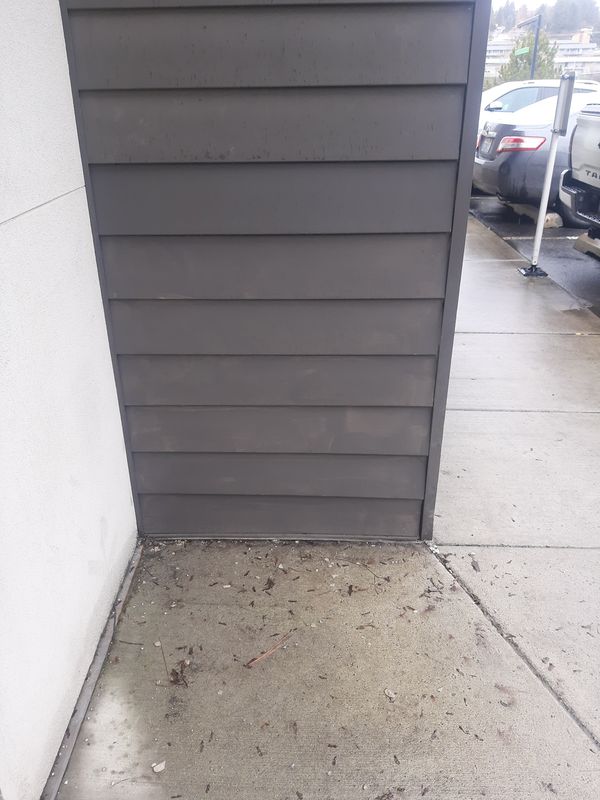 Interior Repairs