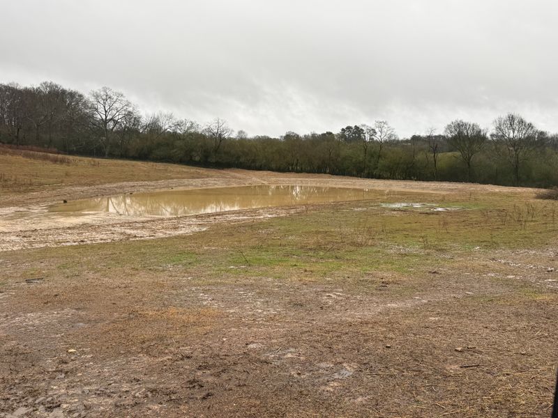 Pond Construction & Repair