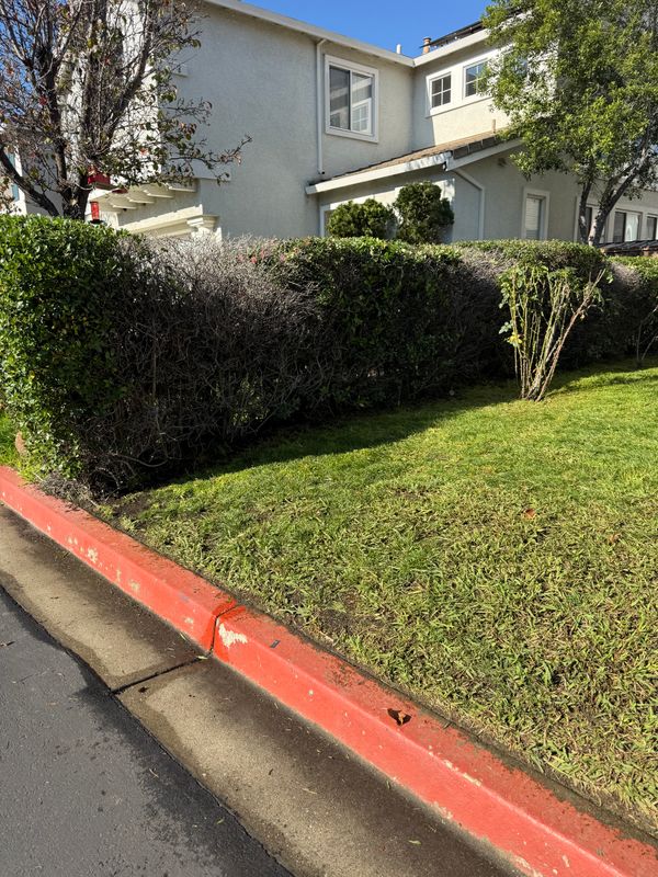 Landscaping