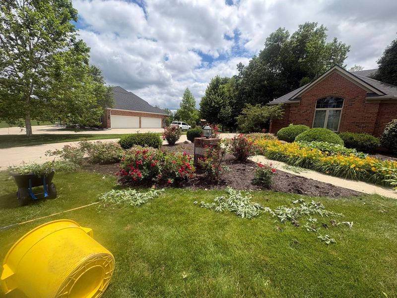 Landscape Design & Installation