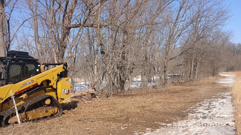 Forestry Mulching