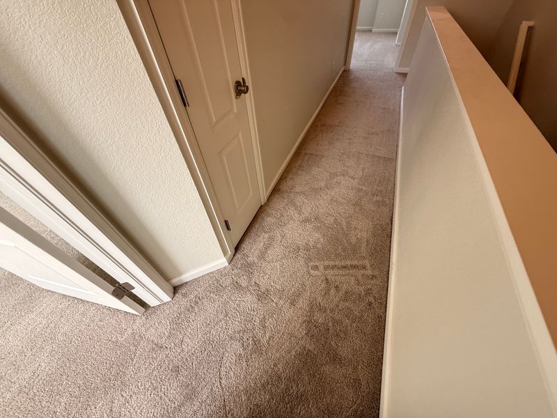 Carpet Installation and Repair