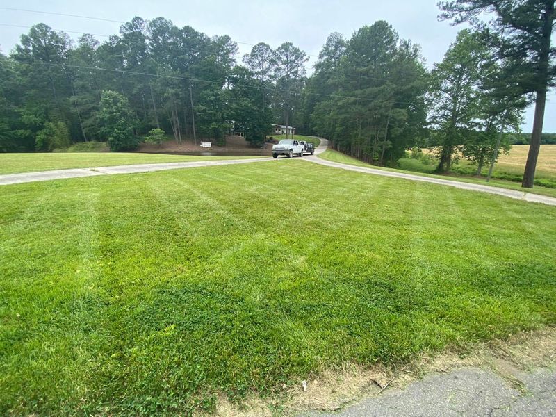 Lawn Mowing