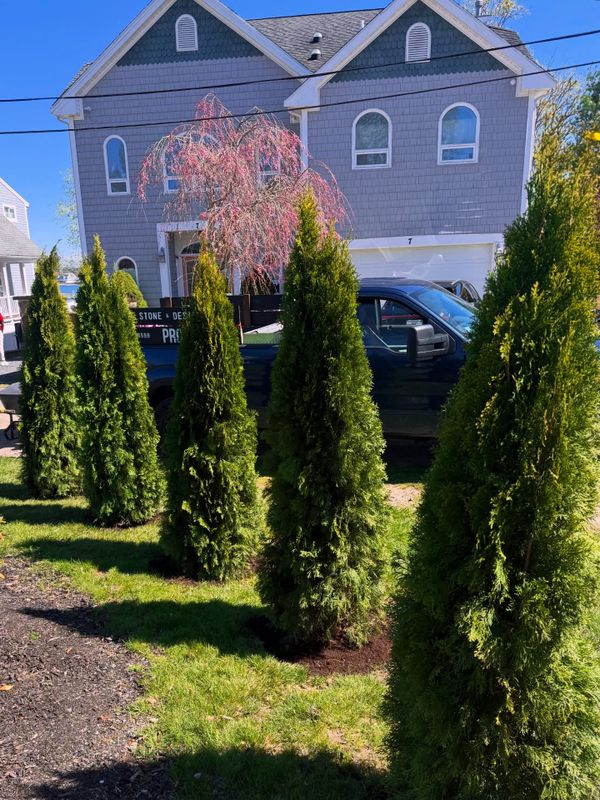 Landscaping