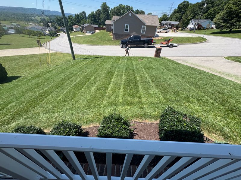 Lawn Maintenance