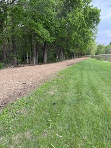 Land Clearing
