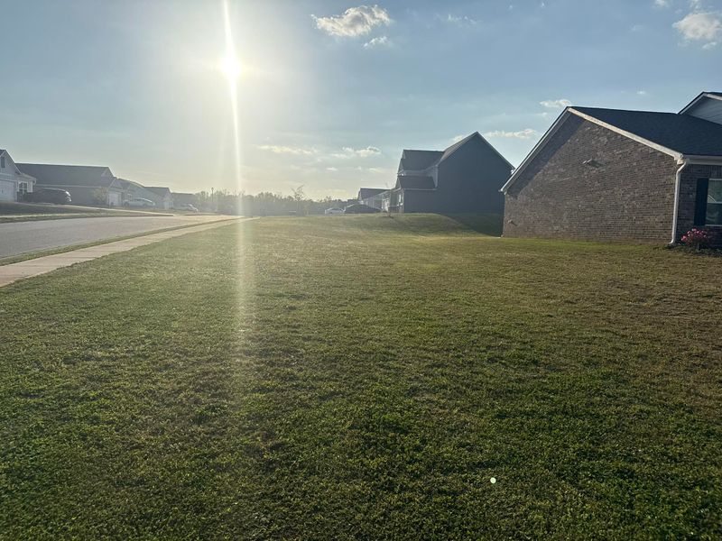 Landscaping