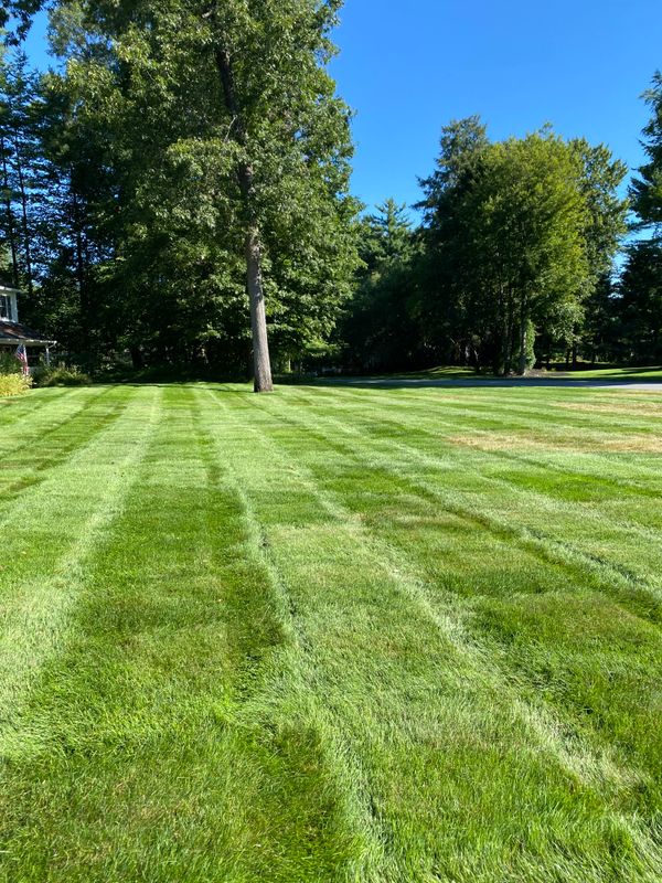 Mowing