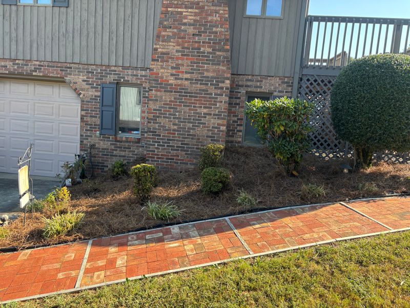 Landscape Design