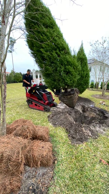 Landscaping