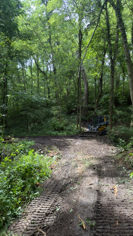 Timber Mulching & Clearing