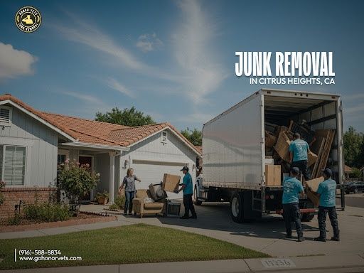 Junk Removal