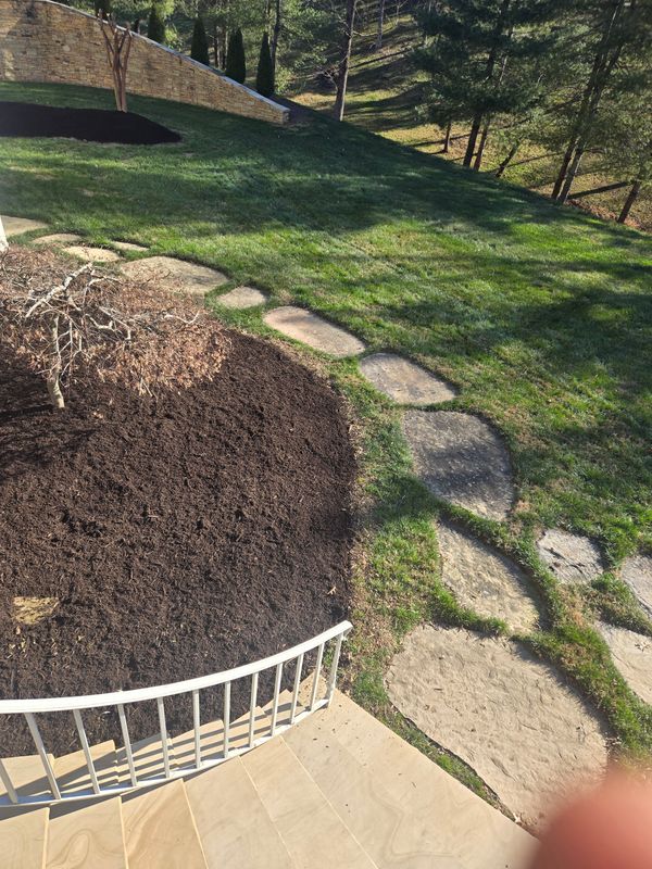 Landscape Installation