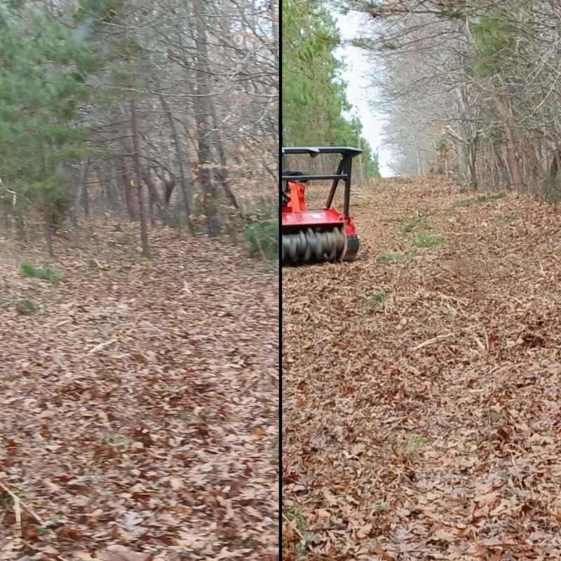 Forestry Mulching