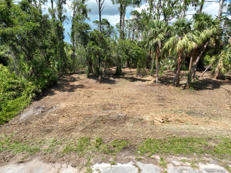 Property Reclamation