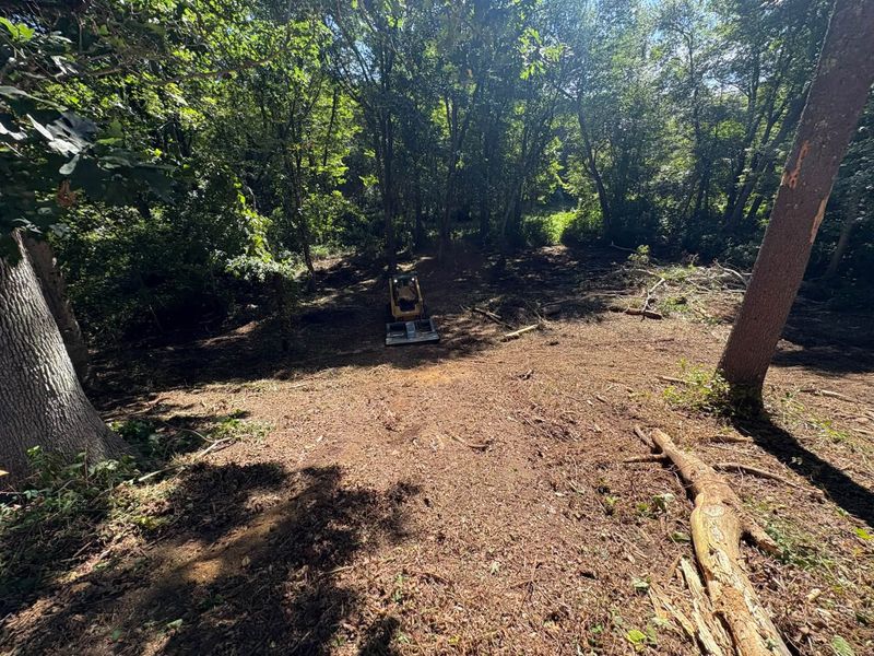 Land Management