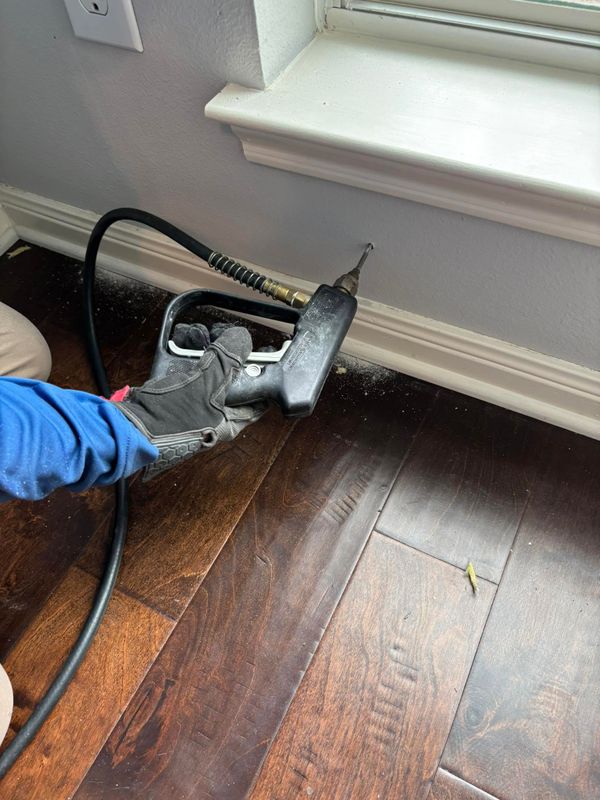 Cockroach Extermination
